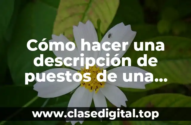 Cómo hacer una descripción de puestos de una empresa