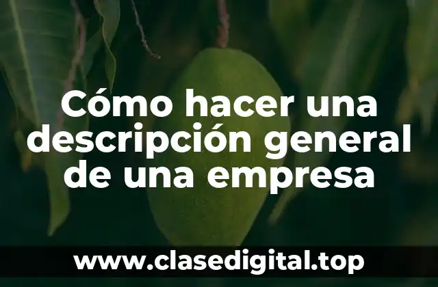 Cómo hacer una descripción general de una empresa