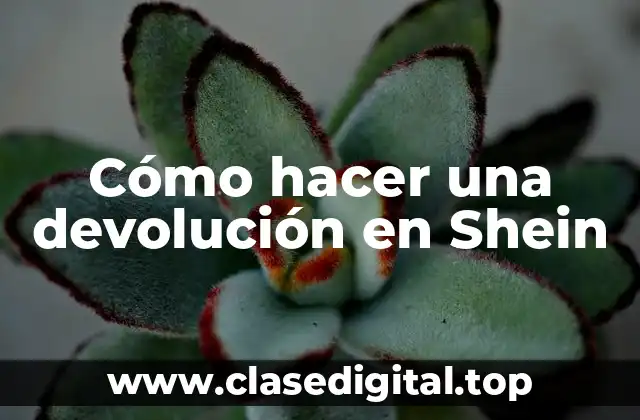 Cómo hacer una devolución en Shein