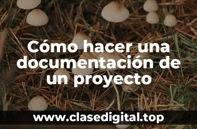Cómo hacer una documentación de un proyecto