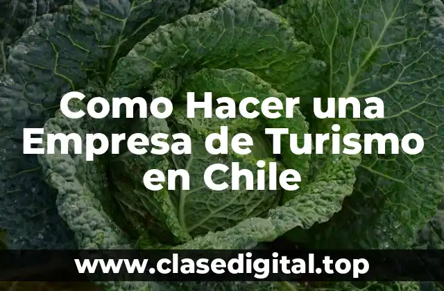 Como Hacer una Empresa de Turismo en Chile