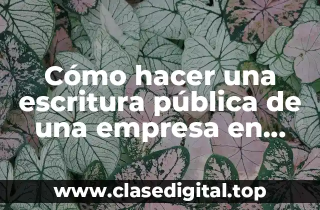 Cómo hacer una escritura pública de una empresa en Chile