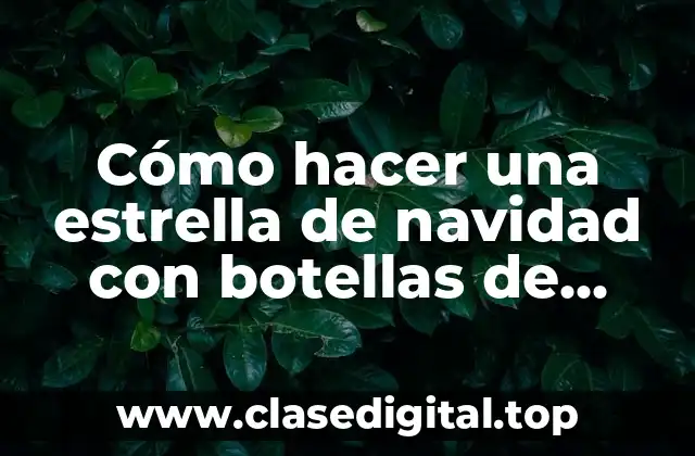 Cómo hacer una estrella de navidad con botellas de plástico