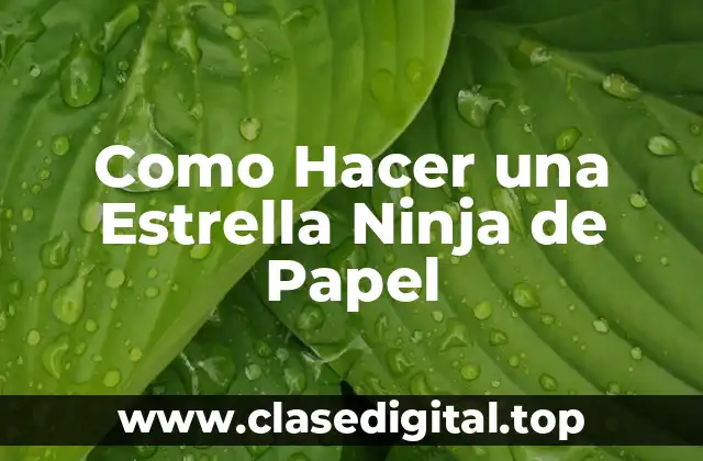 ¿Qué es una Estrella Ninja de Papel?
