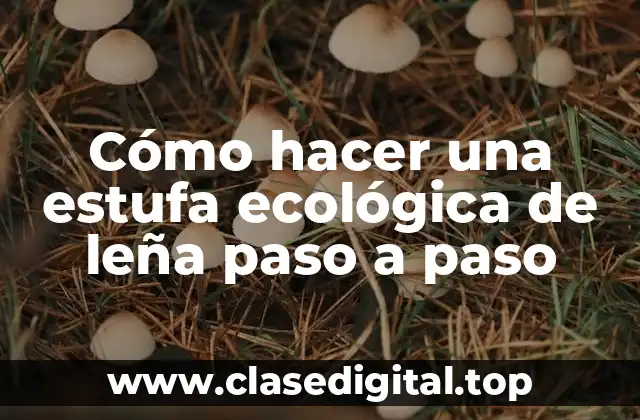 ¿Qué es una estufa ecológica de leña?