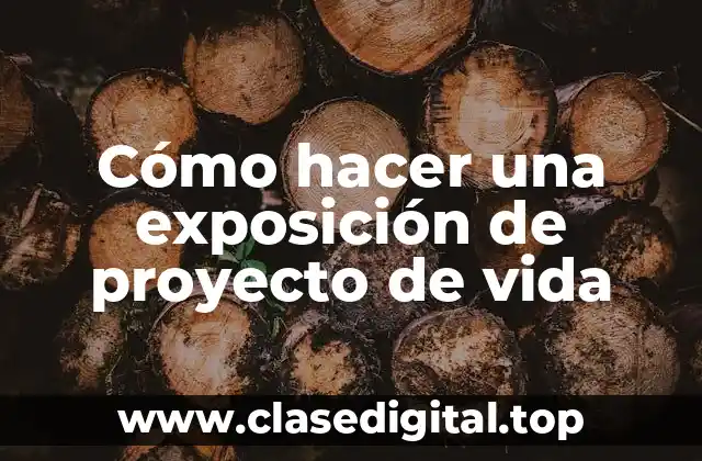 Cómo hacer una exposición de proyecto de vida