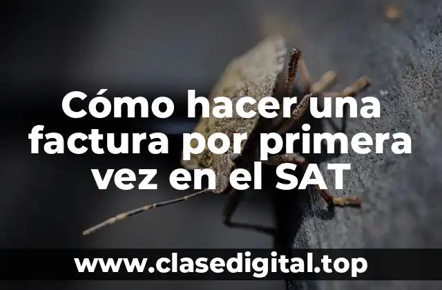 Cómo hacer una factura por primera vez en el SAT
