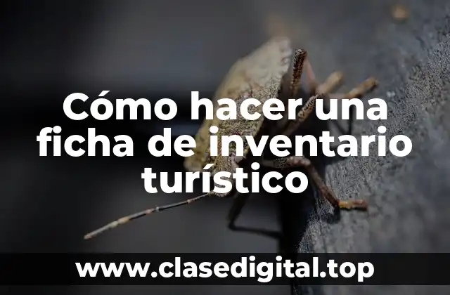 Cómo hacer una ficha de inventario turístico