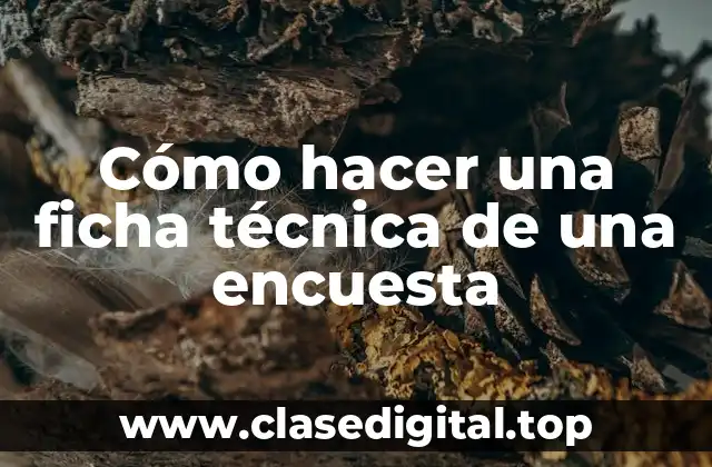 Cómo hacer una ficha técnica de una encuesta