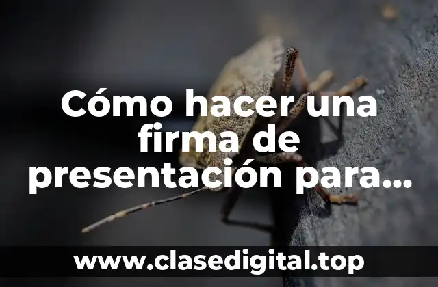 ¿Qué es una firma de presentación en Gmail?