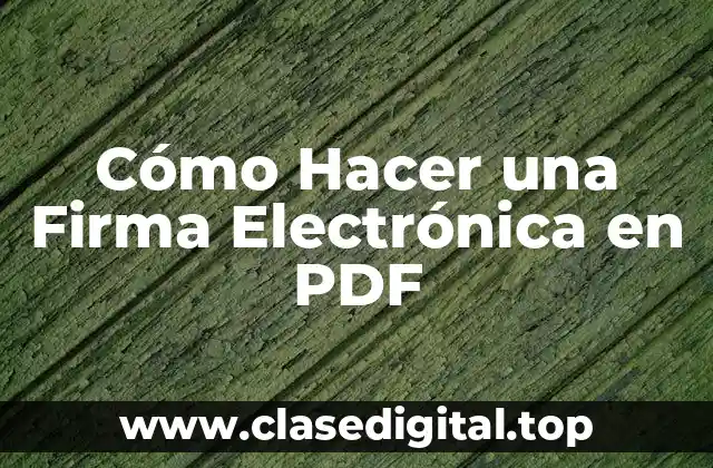 Cómo Hacer una Firma Electrónica en PDF