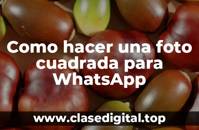 Como hacer una foto cuadrada para WhatsApp
