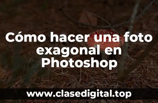 Qué es una foto exagonal en Photoshop