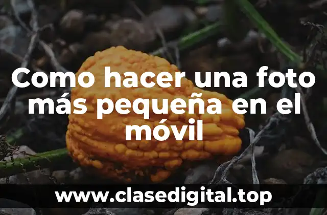 Como hacer una foto más pequeña en el móvil