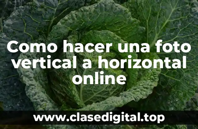 Como hacer una foto vertical a horizontal online