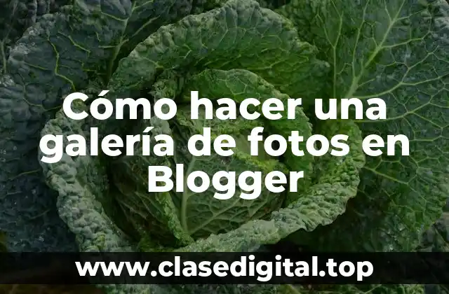 Cómo hacer una galería de fotos en Blogger