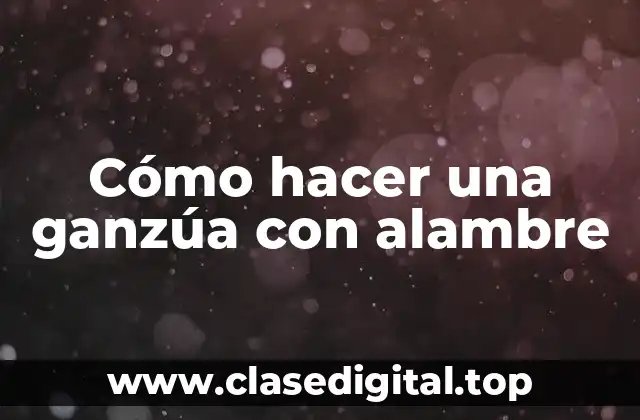 Cómo hacer una ganzúa con alambre