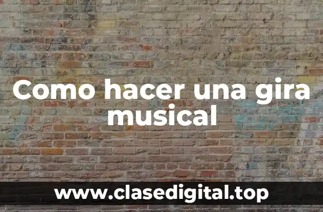 ¿Qué es una gira musical?