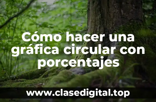 Cómo hacer una gráfica circular con porcentajes