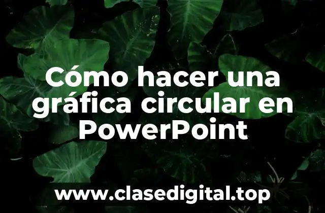Cómo hacer una gráfica circular en PowerPoint