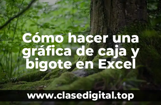 ¿Qué es una gráfica de caja y bigote en Excel?