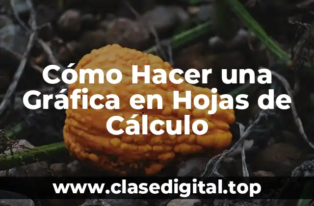 Cómo Hacer una Gráfica en Hojas de Cálculo