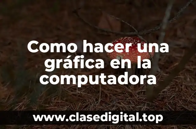 Como hacer una gráfica en la computadora