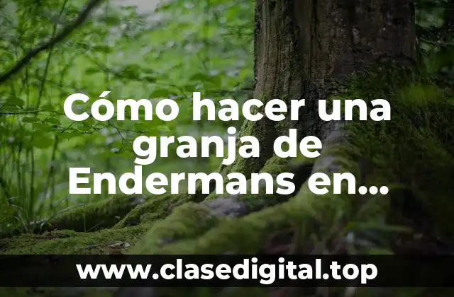 ¿Qué es una granja de Endermans en Minecraft PE?