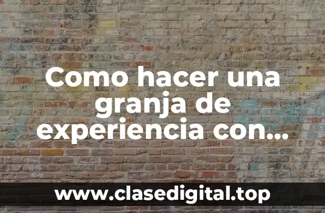 Como hacer una granja de experiencia con spawner en Minecraft