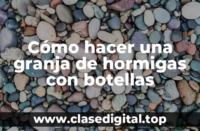 Cómo hacer una granja de hormigas con botellas