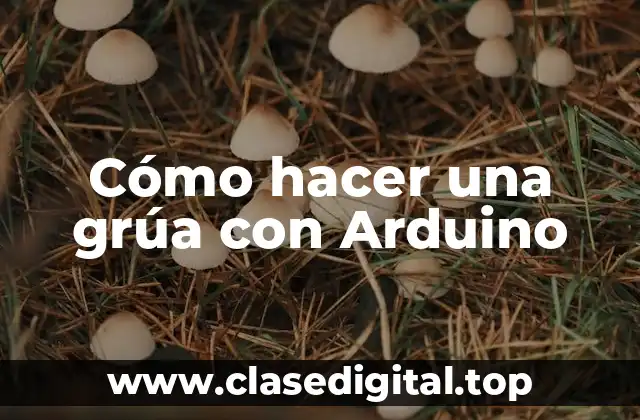 Cómo hacer una grúa con Arduino