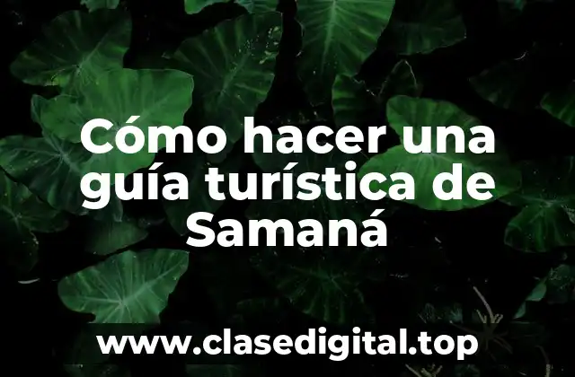 Cómo hacer una guía turística de Samaná