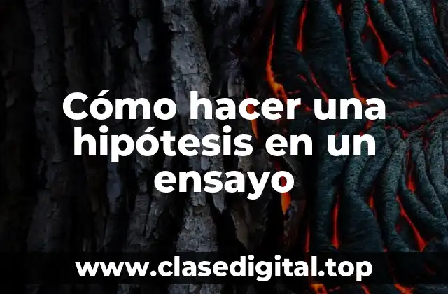 Cómo hacer una hipótesis en un ensayo