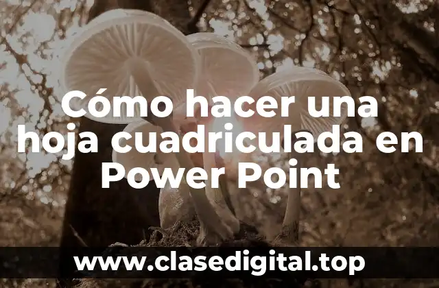 ¿Qué es una hoja cuadriculada en Power Point y para qué sirve?