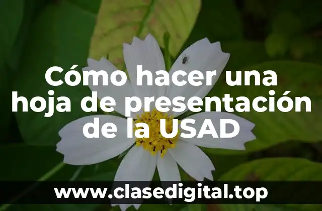 ¿Qué es una hoja de presentación de la USAD?