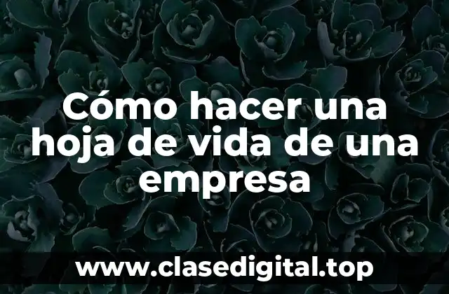 Cómo hacer una hoja de vida de una empresa