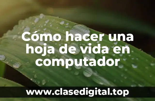 Cómo hacer una hoja de vida en computador