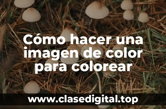 Cómo hacer una imagen de color para colorear