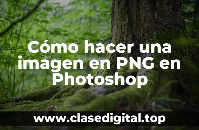 Cómo hacer una imagen en PNG en Photoshop