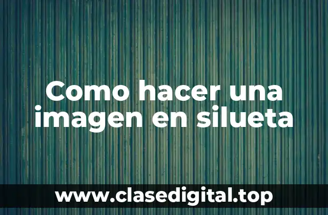 ¿Qué es una imagen en silueta y para qué sirve?