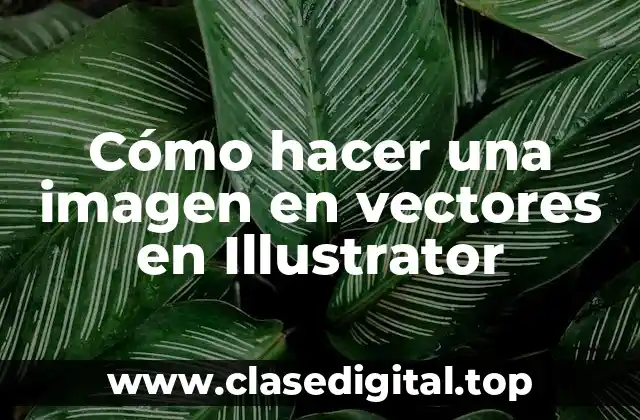¿Qué es un vector en Illustrator y cómo se utiliza?