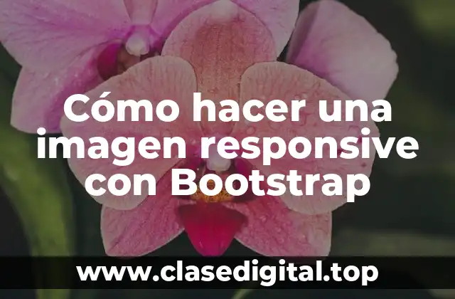 ¿Qué es una imagen responsive con Bootstrap?
