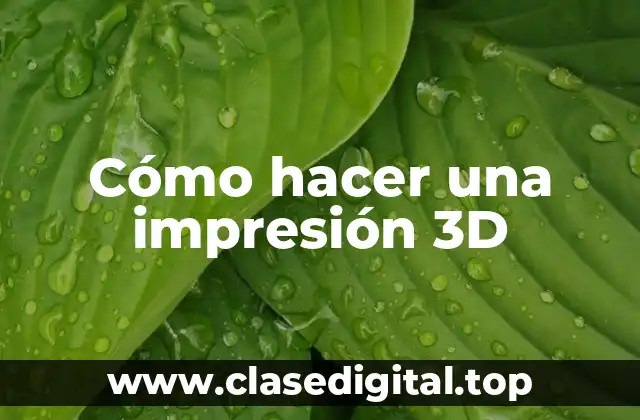 Cómo hacer una impresión 3D