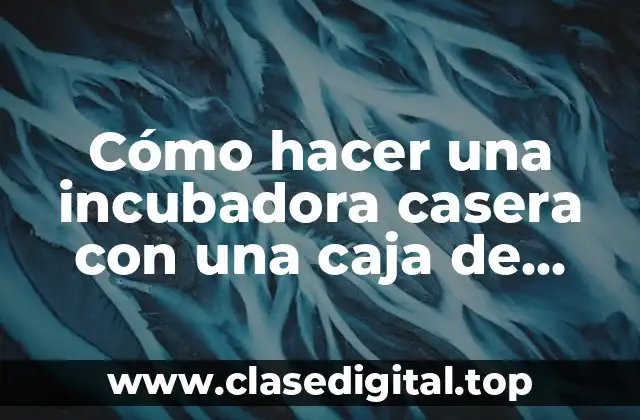 Cómo hacer una incubadora casera con una caja de cartón