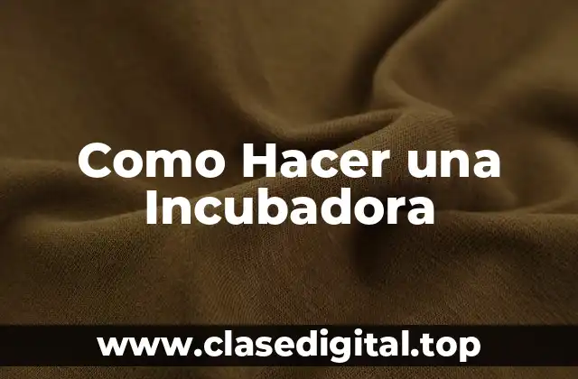 Como Hacer una Incubadora
