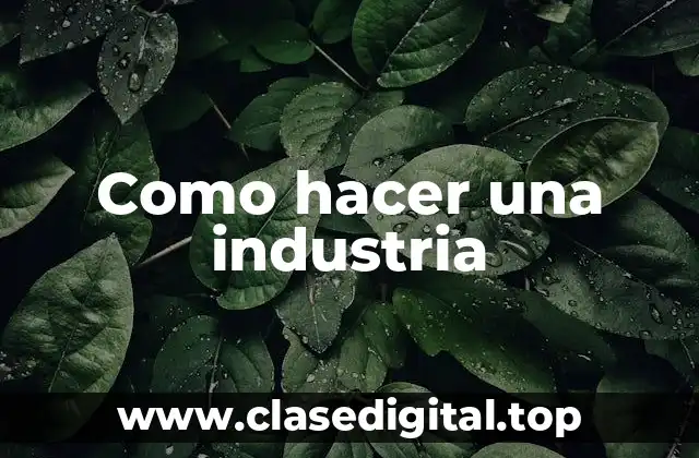 ¿Qué es una industria y cómo se crea?
