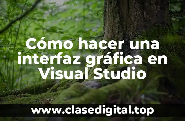 Cómo hacer una interfaz gráfica en Visual Studio