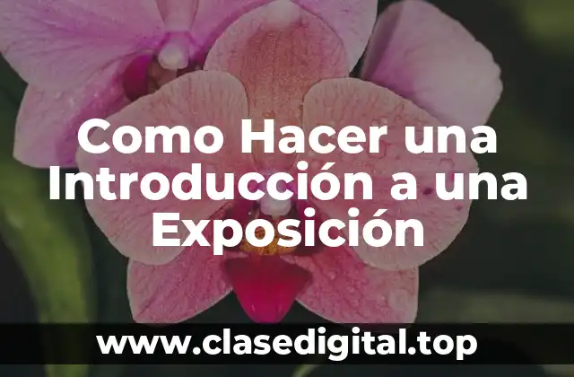 Como Hacer una Introducción a una Exposición