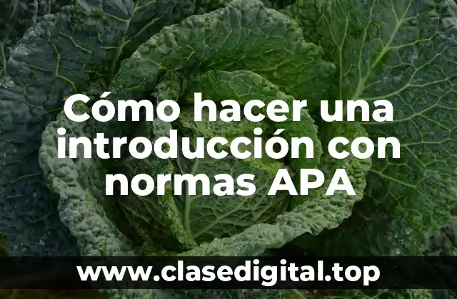 Cómo hacer una introducción con normas APA