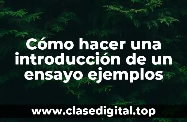 Cómo hacer una introducción de un ensayo ejemplos